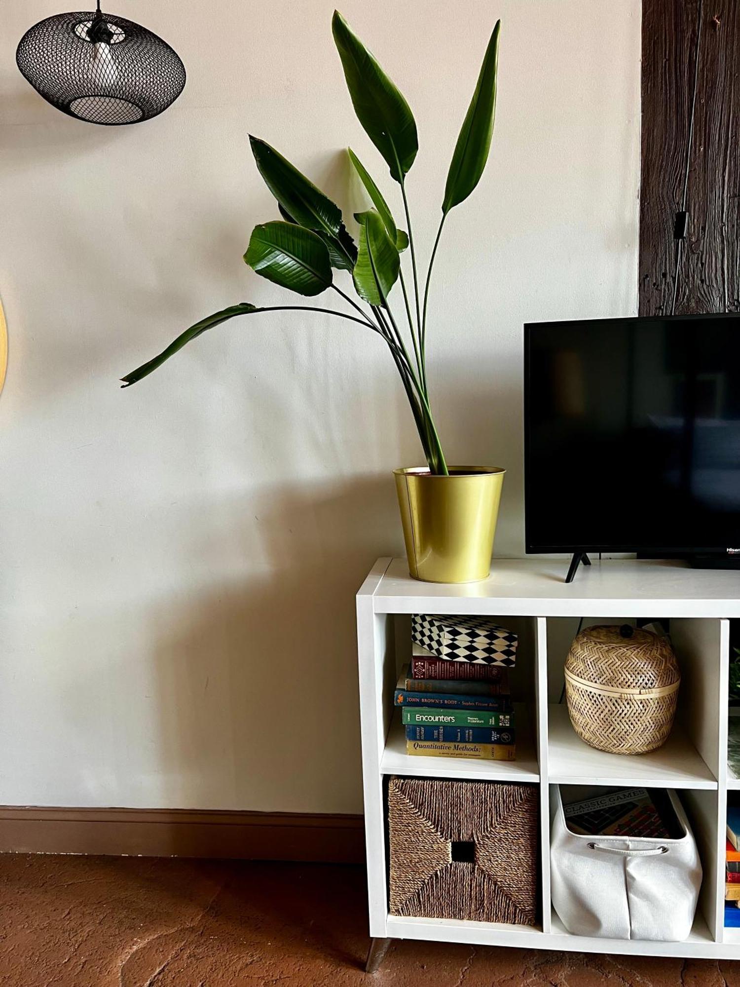 דטרויט 420 Friendly Boho Loft Downtown King Suite Free Parking מראה חיצוני תמונה